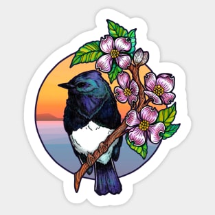 Black Phoebe Sticker